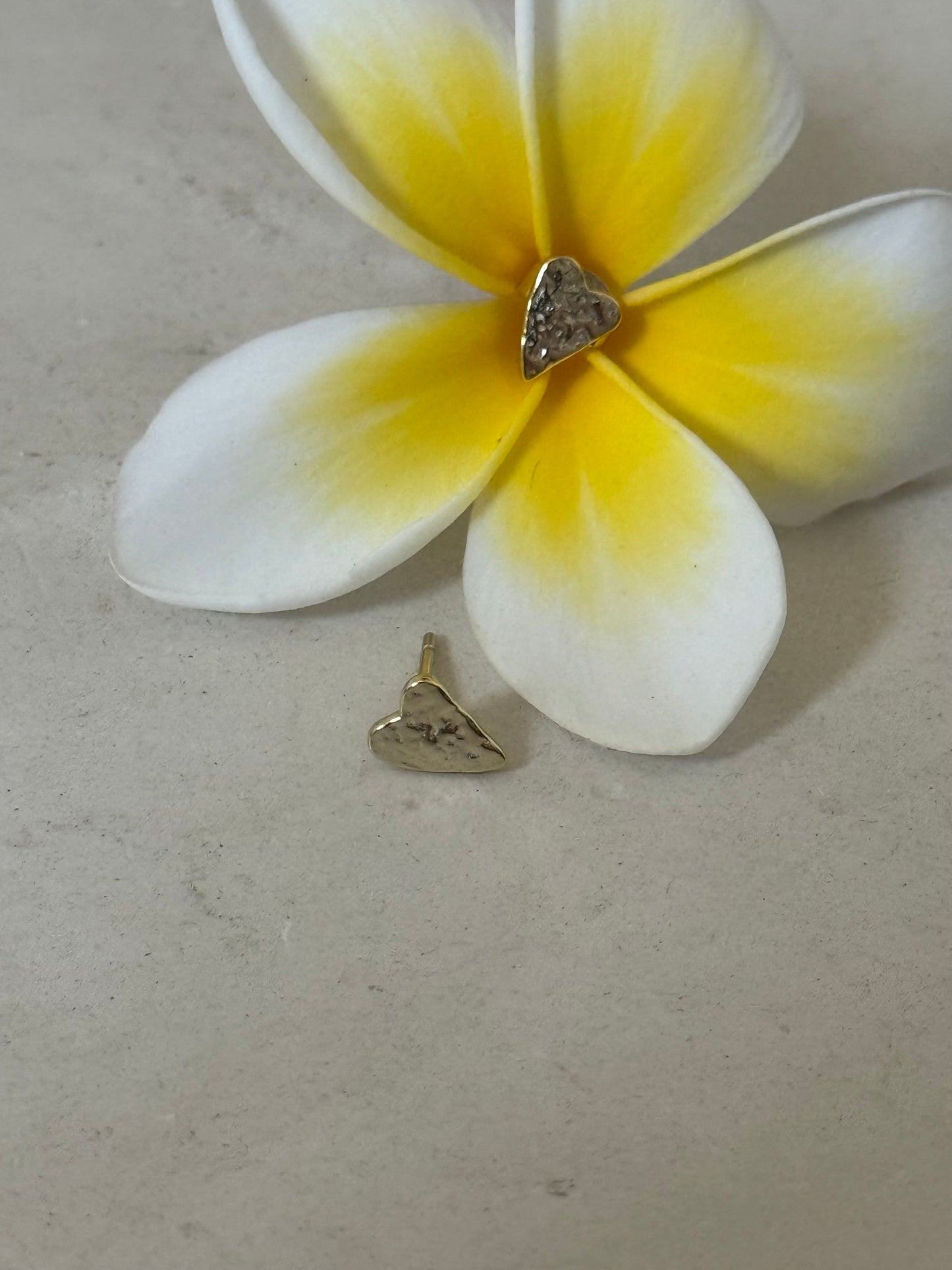 Hearts story teller studs